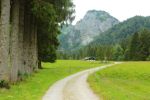 2014-07-05_Laengental-N-Hochweg (345). JPG